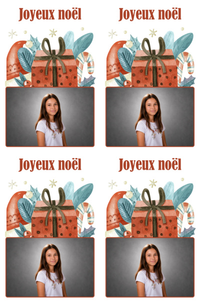 Planche 4 cartes de vœux - Cadeau de Noël (photo paysage)
