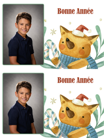 Planche 2 cartes de vœux - Renard de Noël (photo portrait)