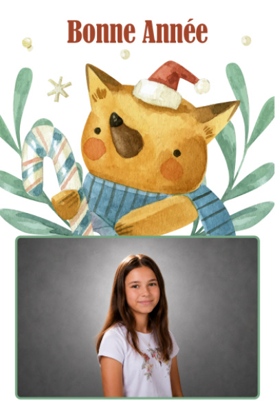 Carte de vœux - Renard de Noël (photo paysage)