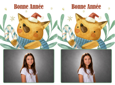Planche 2 cartes de vœux - Renard de Noël (photo paysage)