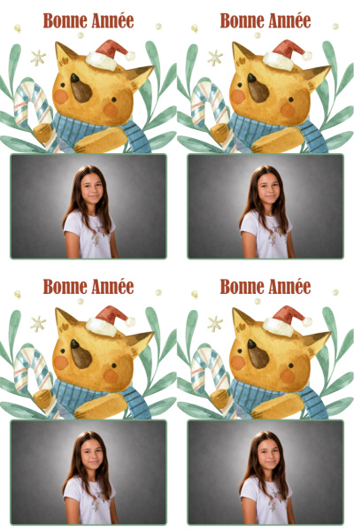 Planche 4 cartes de vœux - Renard de Noël (photo paysage)